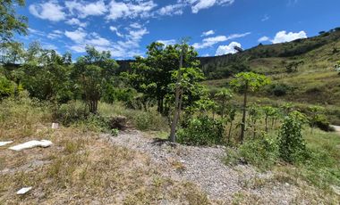 OPORTUNIDAD Propiedad de venta en Yunguilla Santa Isabel sector Naranjos. colinda con el Rio Rircay a 12 minutos de la vía Girón Pasaje