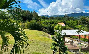Exclusiva Casa de Campo con Piscina y Andenes | 1,923 m² | Vista Panorámica en La Banda de Shilcayo