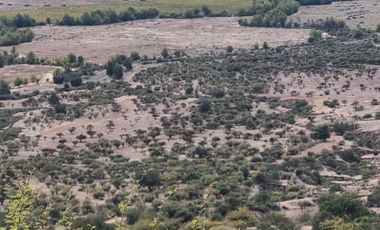 🌿 OPORTUNIDAD DE INVERSIÓN RURAL EN MARCHIGÜE 🌿 🍇 Campo con potencial para VIÑEDO, OLIVOS o PARCELACIÓN