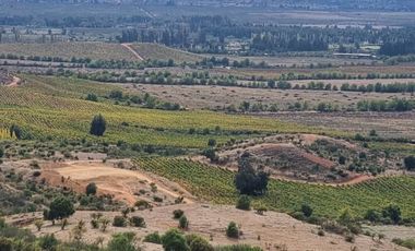 🌿 OPORTUNIDAD DE INVERSIÓN RURAL EN MARCHIGÜE 🌿 🍇 Campo con potencial para VIÑEDO, OLIVOS o PARCELACIÓN