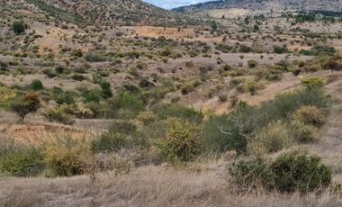 🌿 OPORTUNIDAD DE INVERSIÓN RURAL EN MARCHIGÜE 🌿 🍇 Campo con potencial para VIÑEDO, OLIVOS o PARCELACIÓN
