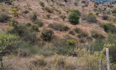 🌿 OPORTUNIDAD DE INVERSIÓN RURAL EN MARCHIGÜE 🌿 🍇 Campo con potencial para VIÑEDO, OLIVOS o PARCELACIÓN