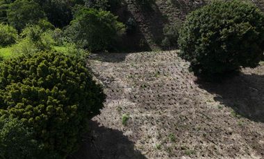 lote campestre en venta vía Montenegro