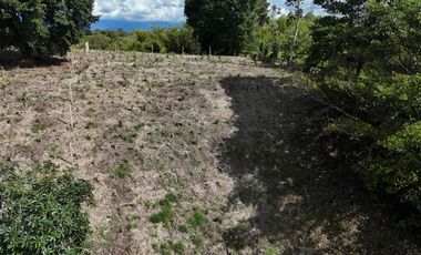 lote campestre en venta vía Montenegro