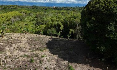 Lote campestre en Venta vía quimbaya