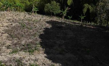 Lote campestre en Venta vía quimbaya