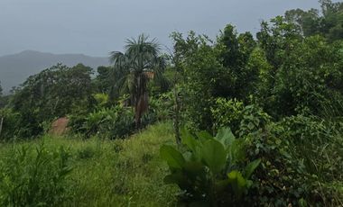 🔥 Lotes en Tarapoto desde S/150 m² – invierte en Villa Pucayacu