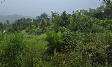 🔥 Lotes en Tarapoto desde S/150 m² – invierte en Villa Pucayacu