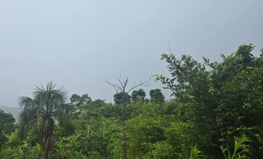 🔥 Lotes en Tarapoto desde S/150 m² – invierte en Villa Pucayacu