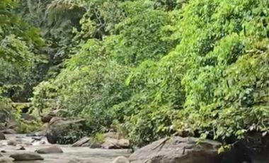 EXCLUSIVA CASA DE CAMPO CON 8.26 HAS EN TARAPOTO  / QUEBRADA Y CULTIVOS