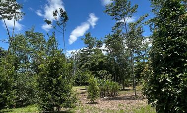 EXCLUSIVA CASA DE CAMPO CON 8.26 HAS EN TARAPOTO  / QUEBRADA Y CULTIVOS