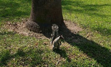 VENDO TERRENO EN LA ALBORADA