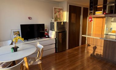 Hermoso Home Studio amoblado en el corazón de Santiago – Oportunidad por viaje