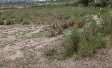 SE VENDE PARCELA A METROS DEL LAGO RAPEL, LAS CABRAS