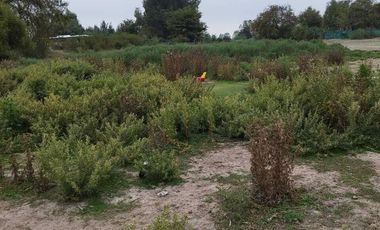 SE VENDE PARCELA A METROS DEL LAGO RAPEL, LAS CABRAS