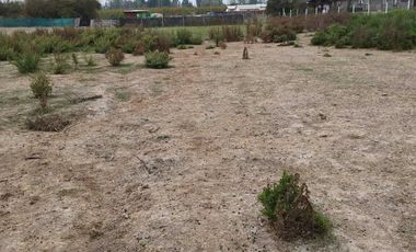 SE VENDE PARCELA A METROS DEL LAGO RAPEL, LAS CABRAS