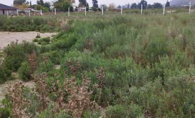 SE VENDE PARCELA A METROS DEL LAGO RAPEL, LAS CABRAS