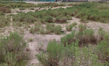 SE VENDE PARCELA A METROS DEL LAGO RAPEL, LAS CABRAS