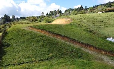 VENTA LOTE GUARNE VEREDA SAN ISIDRO