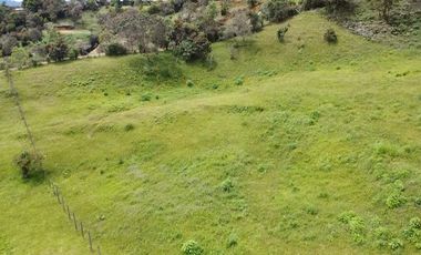 VENTA LOTE GUARNE VEREDA LA CLARITA