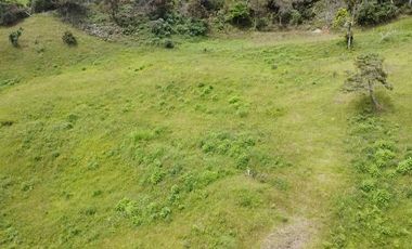 VENTA LOTE GUARNE VEREDA LA CLARITA