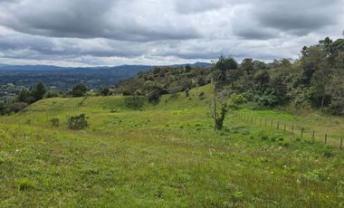 VENTA LOTE GUARNE VEREDA LA CLARITA