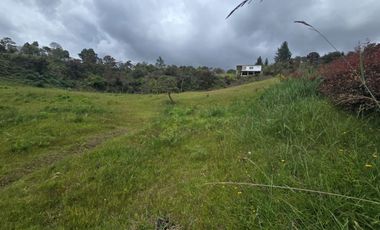 VENTA LOTE GUARNE VEREDA LA CLARITA