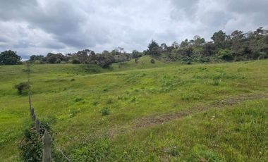 VENTA LOTE GUARNE VEREDA LA CLARITA