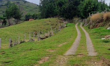 FINCA EN VENTA MONTEBELLO VEREDA EL CAUNZAL