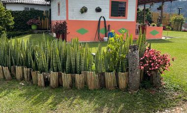 FINCA EN VENTA MONTEBELLO VEREDA EL CAUNZAL