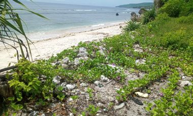 DISEWAKAN TANAH LOS PANTAI – BATUNUNGGAL, NUSA PENIDA