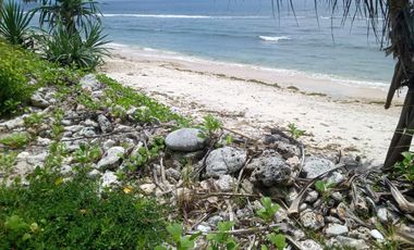 DISEWAKAN TANAH LOS PANTAI – BATUNUNGGAL, NUSA PENIDA