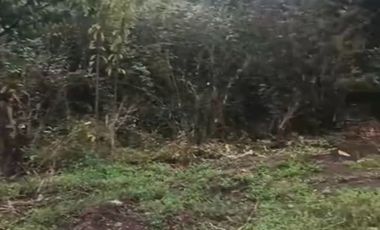 Sitio 2.234 m2 en Chiguayante. cerca de Av. O'Higgins y de cruce Santa Sofía.