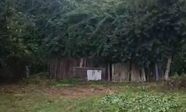 Sitio 2.234 m2 en Chiguayante. cerca de Av. O'Higgins y de cruce Santa Sofía.