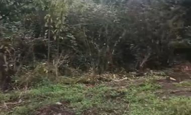 Sitio 2.234 m2 en Chiguayante. cerca de Av. O'Higgins y de cruce Santa Sofía.