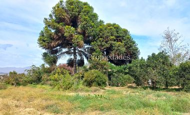 Leon Propiedades vende Gran terreno de 1.7 ha con una casa en sector Mario Pinto, Curacaví.