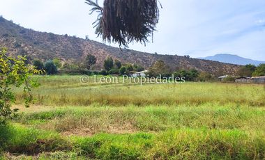 Leon Propiedades vende Gran terreno de 1.7 ha con una casa en sector Mario Pinto, Curacaví.