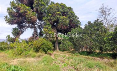 Leon Propiedades vende Gran terreno de 1.7 ha con una casa en sector Mario Pinto, Curacaví.