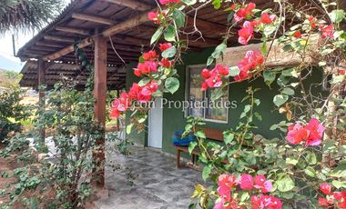 Leon Propiedades vende Gran terreno de 1.7 ha con una casa en sector Mario Pinto, Curacaví.