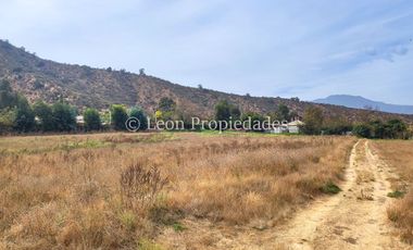 Leon Propiedades vende Gran terreno de 1.7 ha con una casa en sector Mario Pinto, Curacaví.