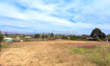 Leon Propiedades vende Gran terreno de 1.7 ha con una casa en sector Mario Pinto, Curacaví.