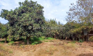 Leon Propiedades vende Gran terreno de 1.7 ha con una casa en sector Mario Pinto, Curacaví.