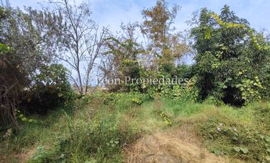 Leon Propiedades vende Gran terreno de 1.7 ha con una casa en sector Mario Pinto, Curacaví.