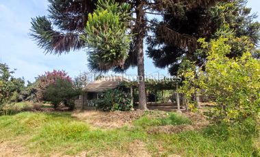 Leon Propiedades vende Gran terreno de 1.7 ha con una casa en sector Mario Pinto, Curacaví.
