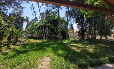 🌿 OPORTUNIDAD ÚNICA: FINCA URBANA EN SUNAMPE – CHINCHA 🌿