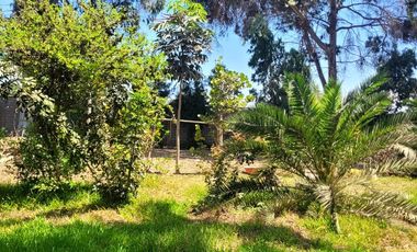 🌿 OPORTUNIDAD ÚNICA: FINCA URBANA EN SUNAMPE – CHINCHA 🌿