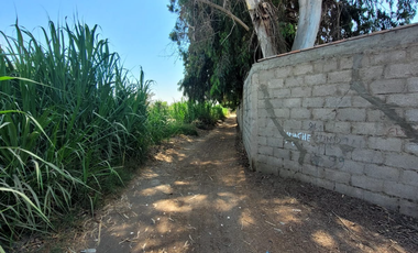 🌿 OPORTUNIDAD ÚNICA: FINCA URBANA EN SUNAMPE – CHINCHA 🌿