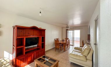 Casa Abedul
