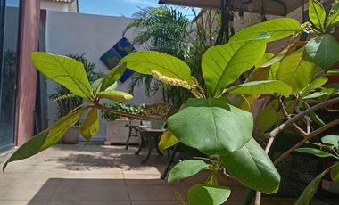 Vendo hermosa casa, en urbanización Ciudad Celeste, etapa Esthela