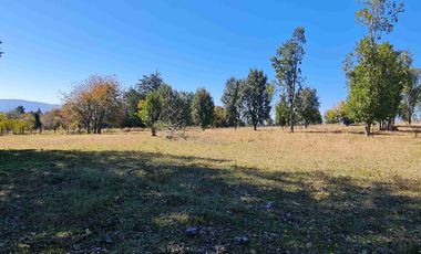 Parcela 5.000 m² en Villarrica | Chihuaigue | APR + Excelente Conectividad | $38 Millones